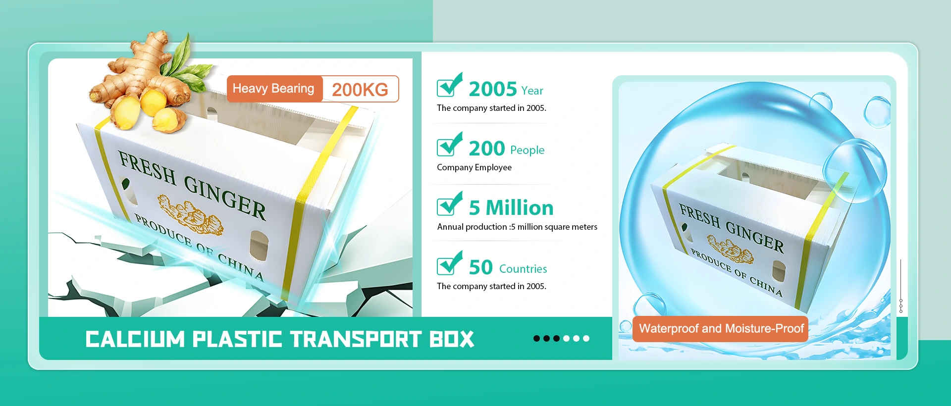 चीन क्याल्शियम प्लास्टिक यातायात बक्स निर्माता